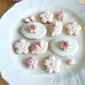 桜のアイシングクッキーを作って、偕楽園の梅まつりへ☆