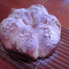 基本コース「アーモンドリング」パン作りの基礎作業を学びます。