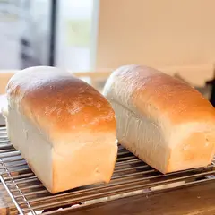 焼き立てのかわいい食パン
