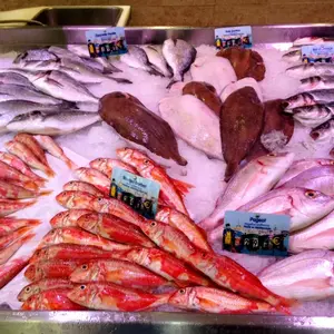 南フランスのお魚事情 魚の名前が難しい 世界の料理とお菓子教室 プラムツリー ラボのブログ クスパ