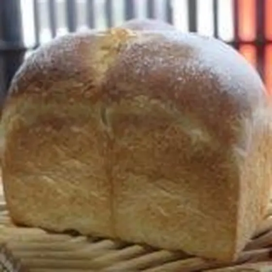 【単発　1day】湯種食パン