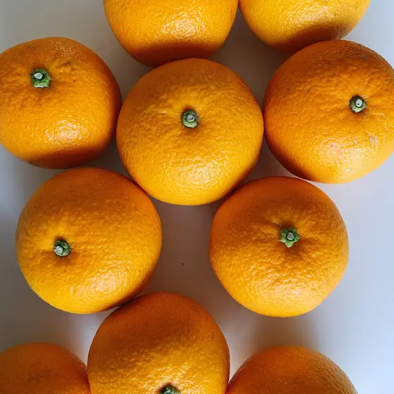 季節の手仕事を愉しむ　3種類の柑橘から作るマーマレード
