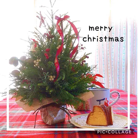 プライベートレッスン　クリスマスツリーとミニオレンジクグロフ