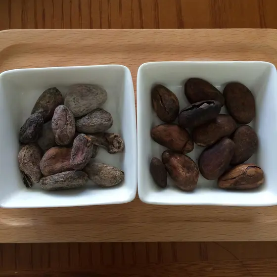 bean to bar カカオ豆からチョコレートを作ろう！