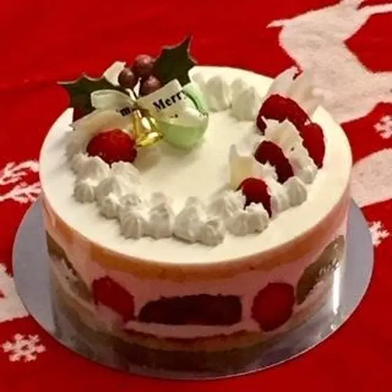 2018 Christmas Cake