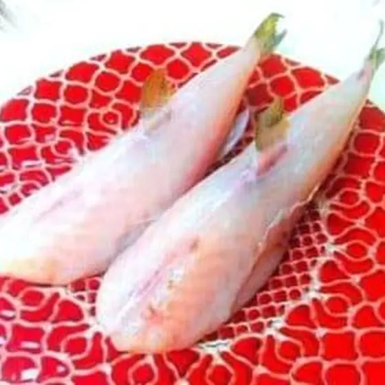 お魚さばきが実習で学べます！ 鮮魚のお土産付 ◎ お魚さばきと旬をたのしむ食卓◎