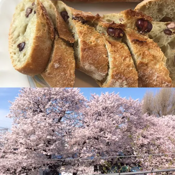 春爛漫 - 絶品 桜バゲット
