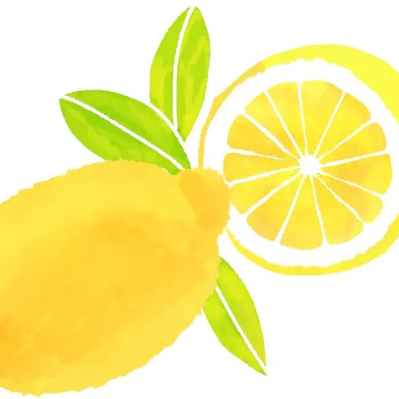 レモン調味料教室