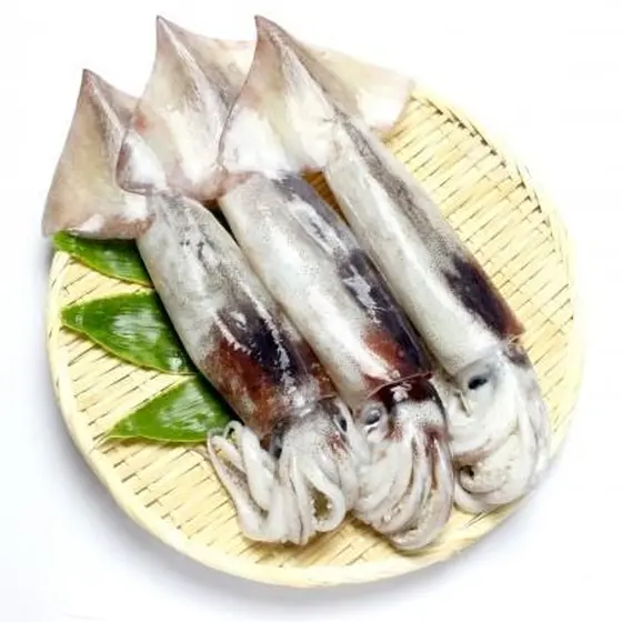 【マンツーマン】イカのさばき方「煮物と炊き込みご飯」