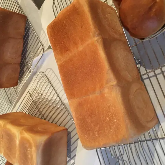 生クリーム食パンと柑橘系山食パン