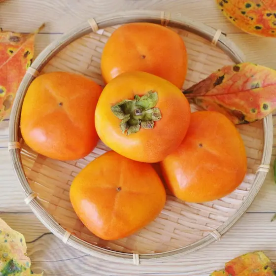 秋の柿とレモンで作る発酵ジュースと焼き柿のサラダプレート