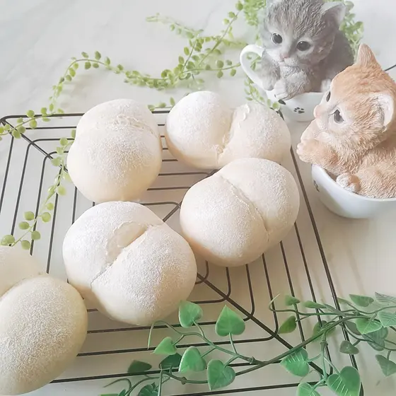 猫好きパン職人の３日目もふわふわ☆魔法の無添加パン体験講座