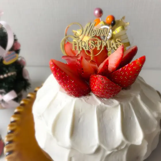 クリスマス・記念日に♡型がなくてもok！デコレーションケーキ