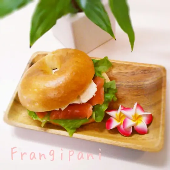 Frangipani フランジパニ パン教室
